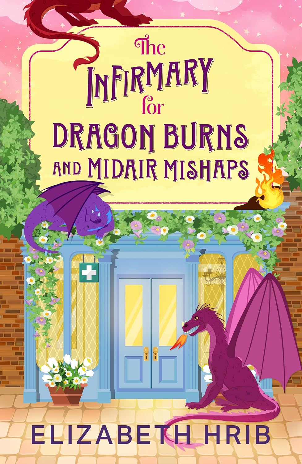 The Infirmary for Dragon Burns and Midair Mishaps by Elizabeth Hrib book cover