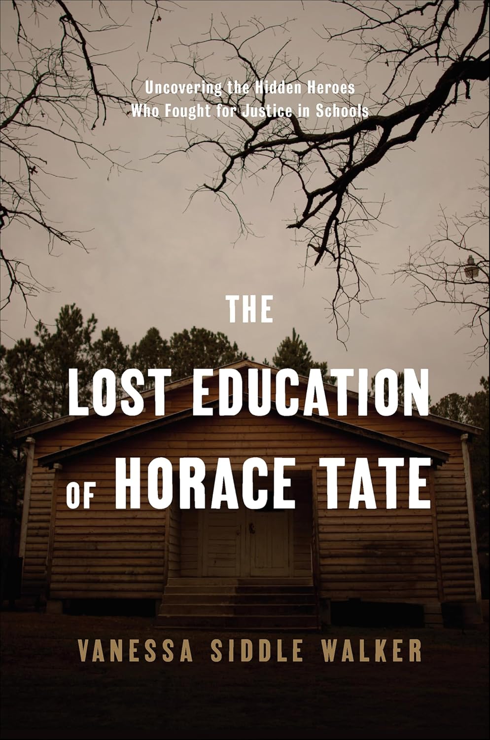The Lost Education of Horace Tate by Vanessa Siddle Walker book cover