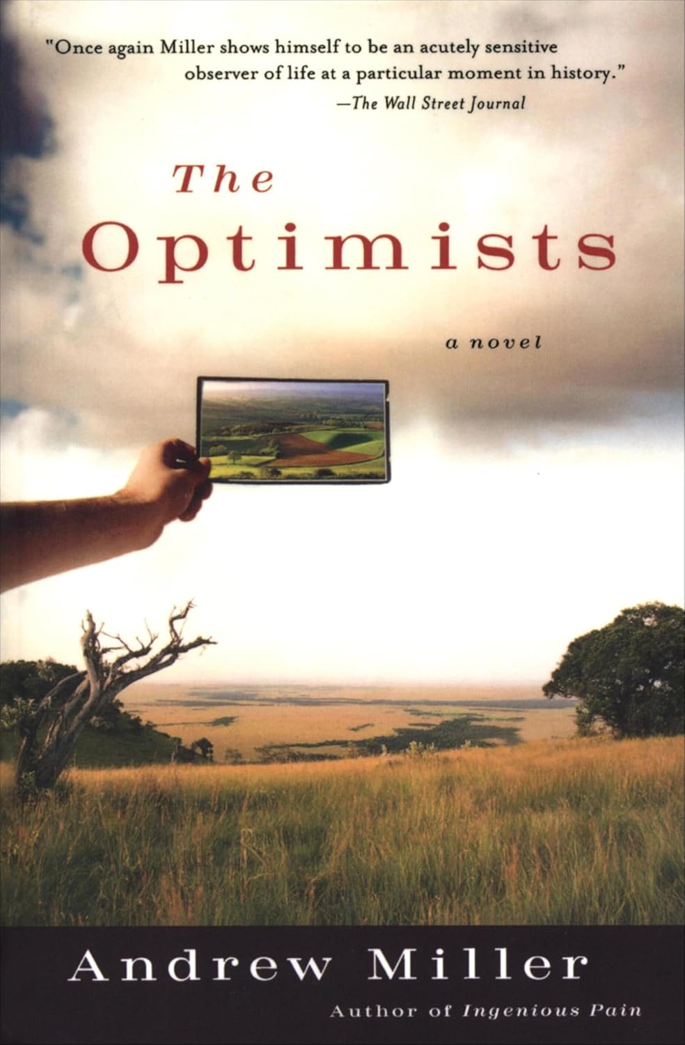 The Optimists by Andrew Miller book cover