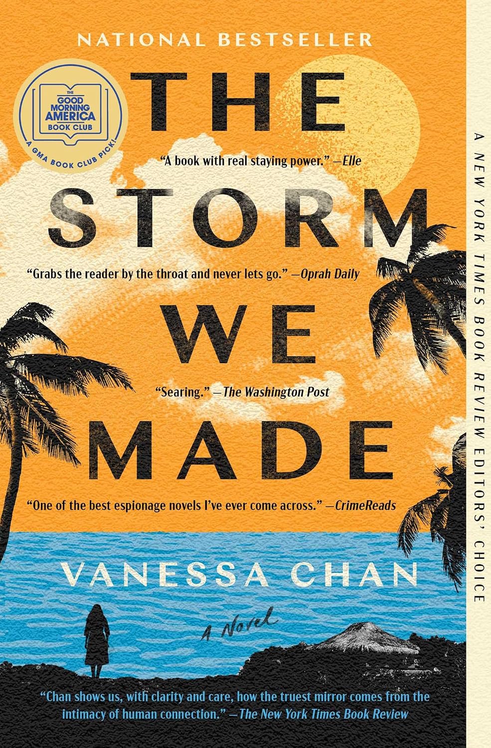 The Storm We Made by Vanessa Chan book cover