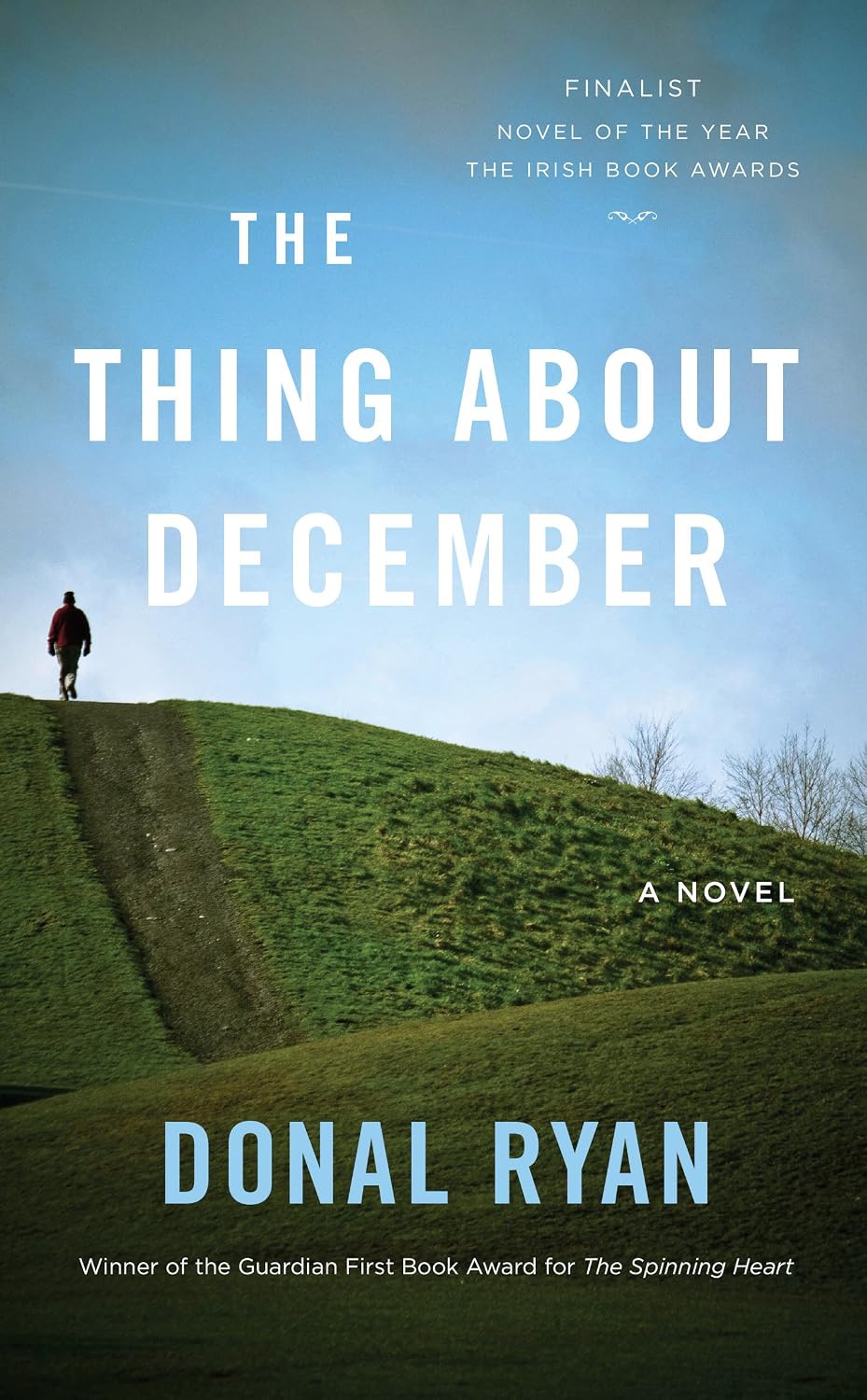 The Thing About December by Donal Ryan book cover