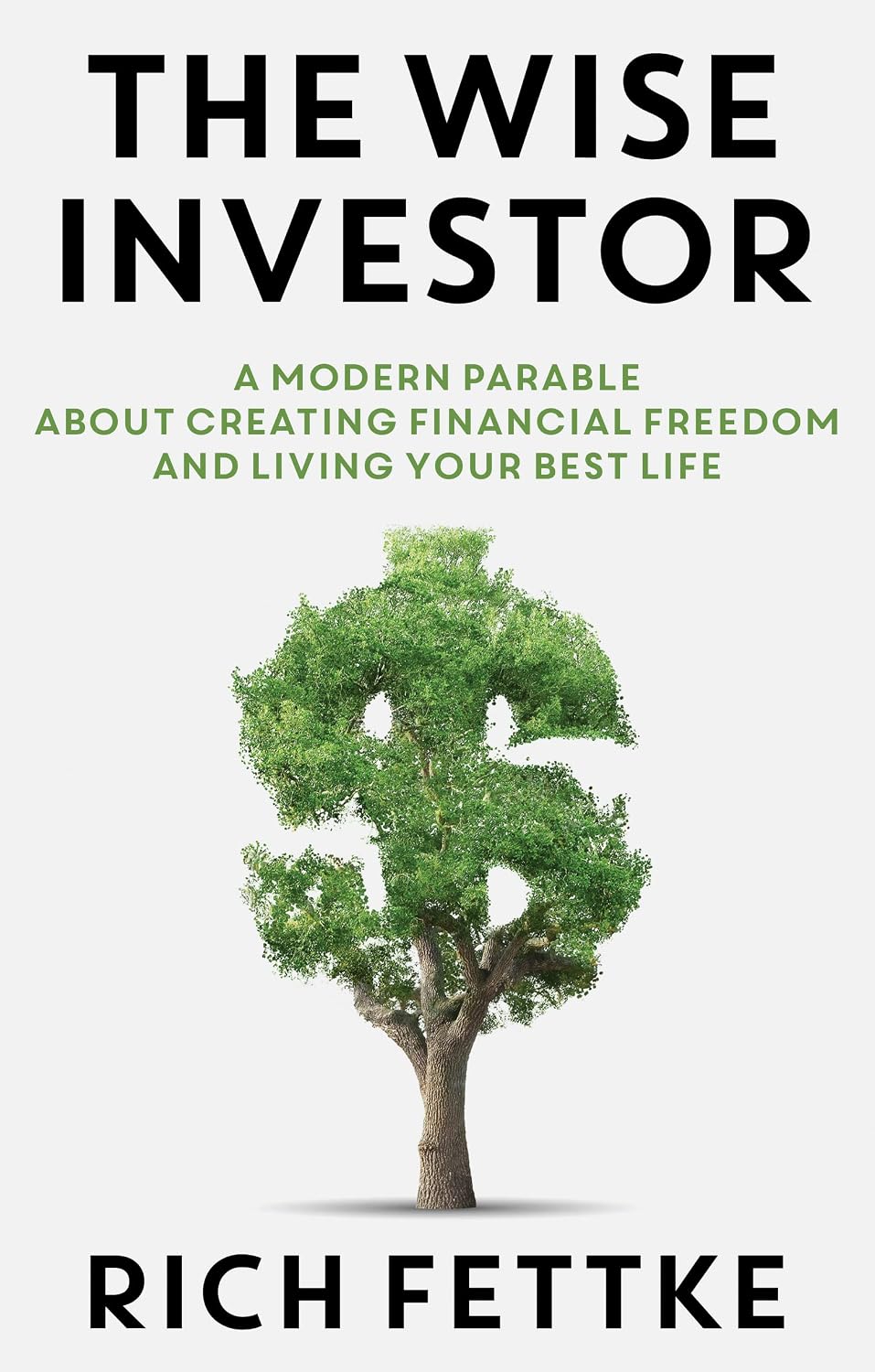 The Wise Investor by Rich Fettke book cover