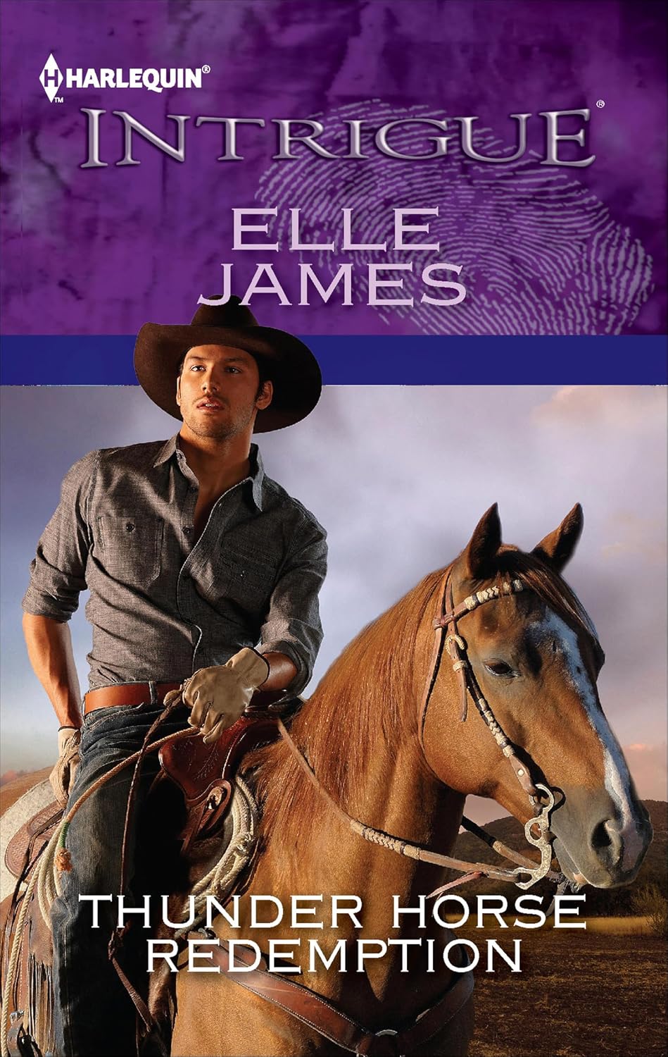 Thunder Horse Redemption by Elle James book cover