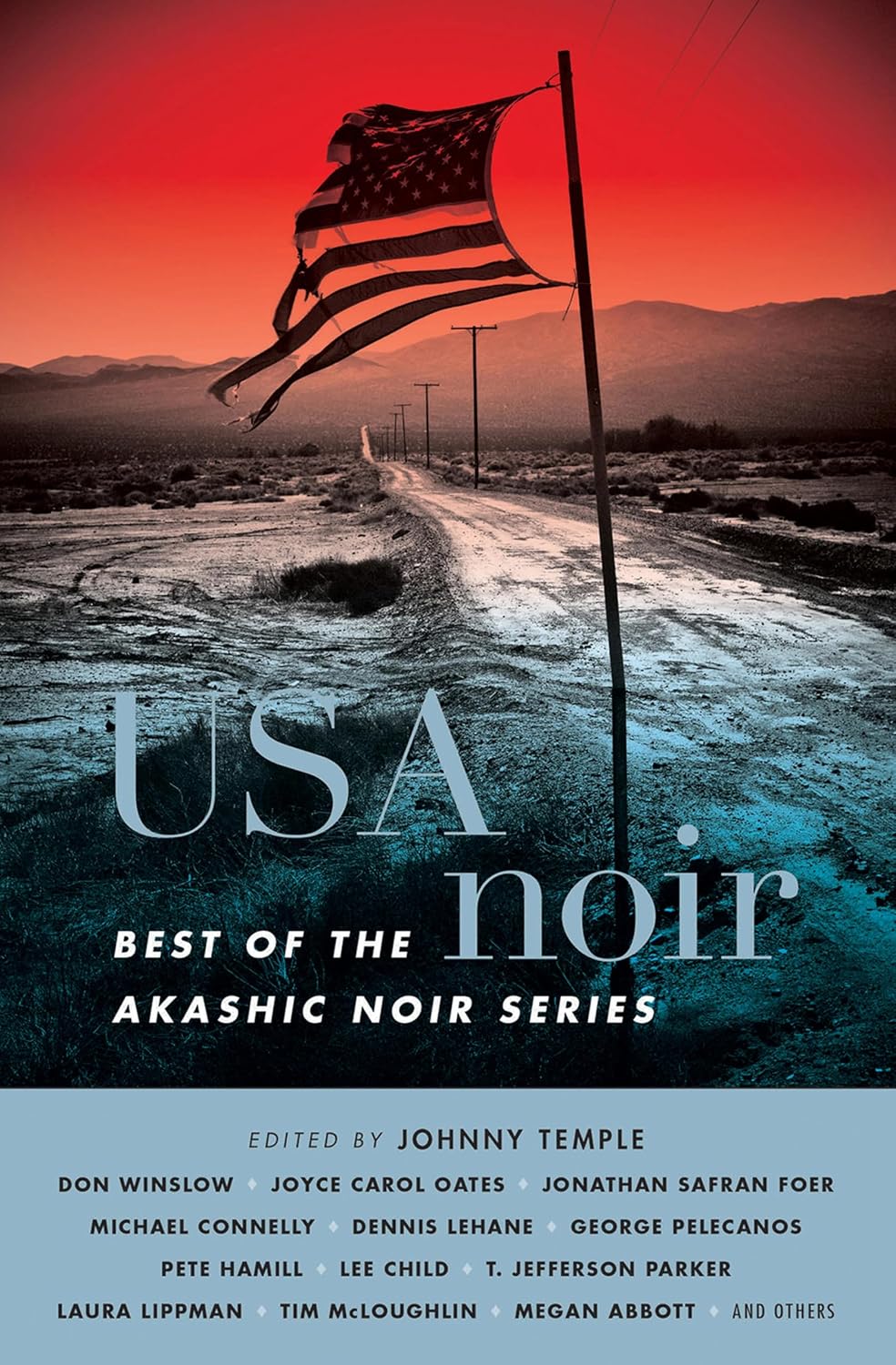 USA Noir book cover