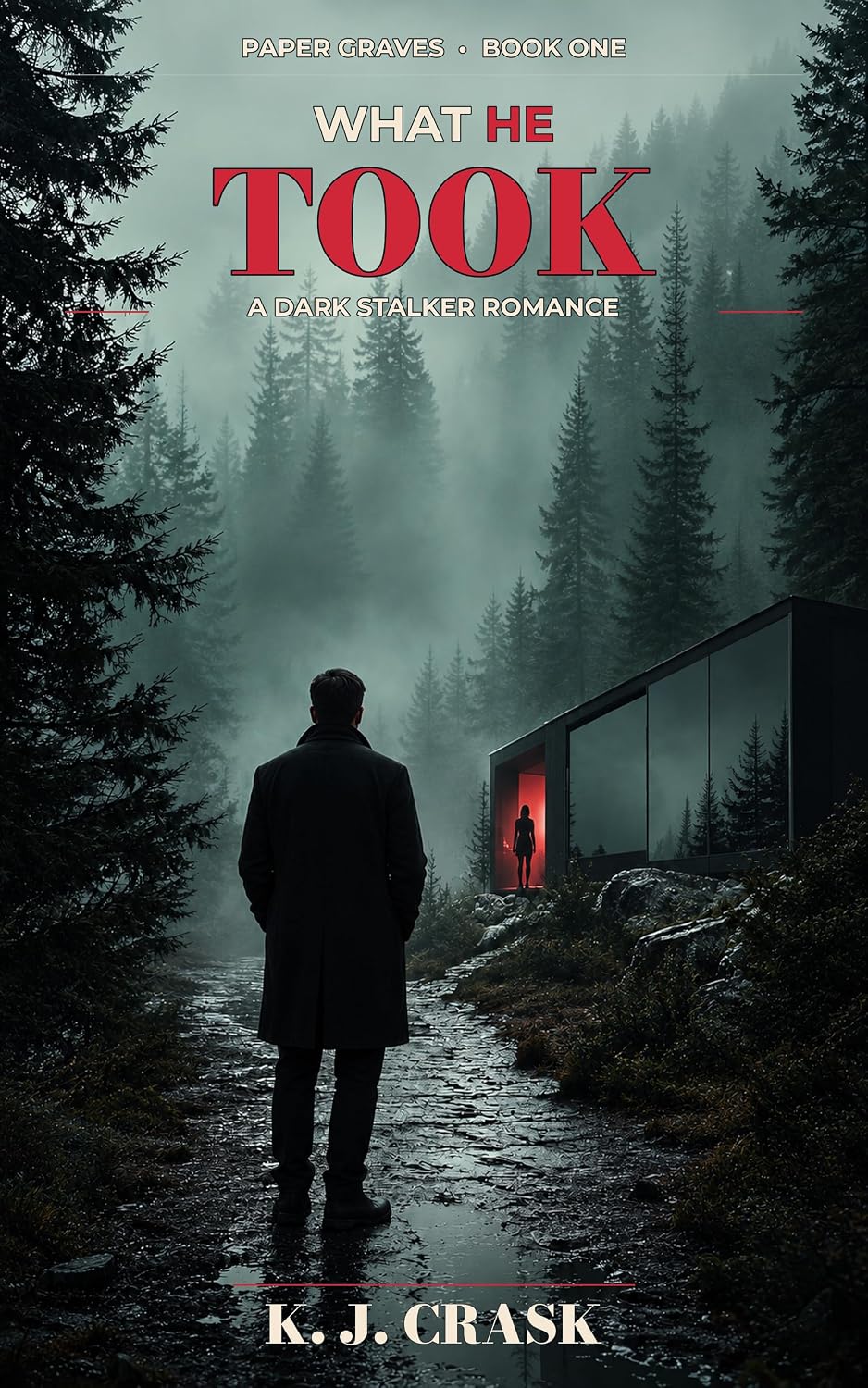 What He Took by K. J. Crask book cover