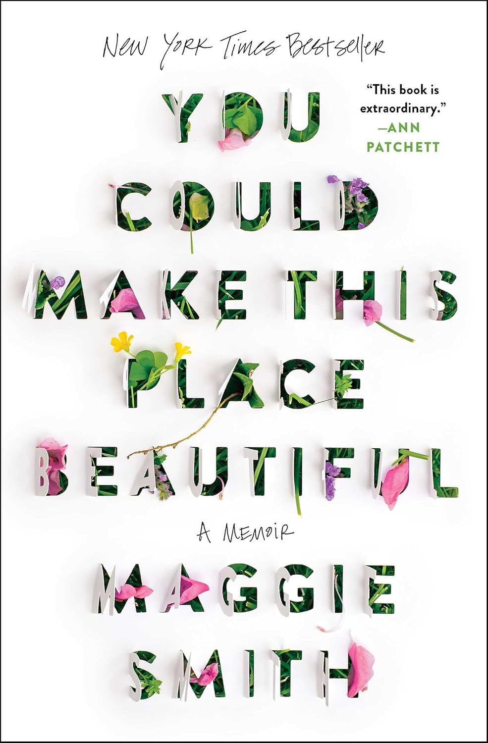 You Could Make This Place Beautiful by Maggie Smith book cover